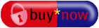 Buy now copy protection